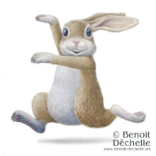 Lapin-dasant-2-70x70©Benoit-Dechelle